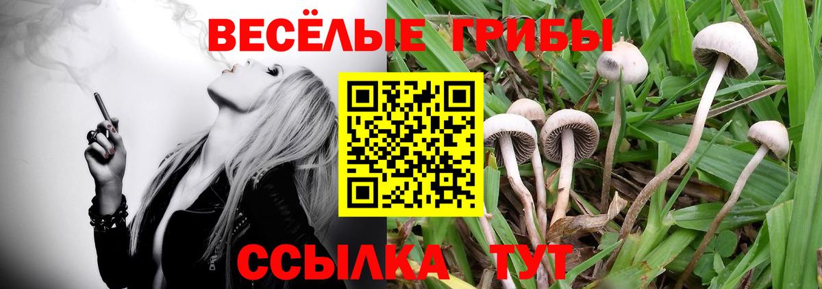 Псилоцибиновые грибы ЛСД  Вход с VPN  Свободный 