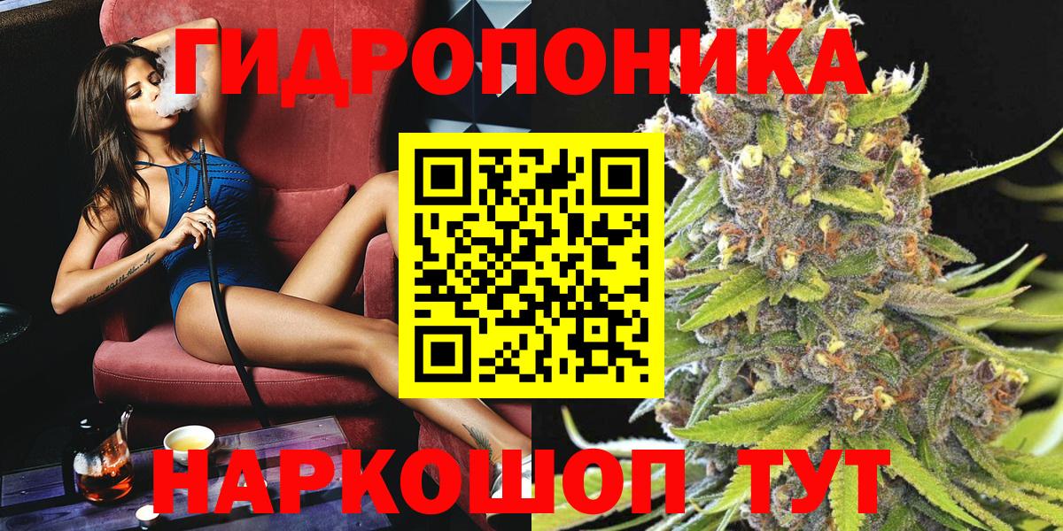 Каннабис сатива Свободный